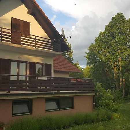 House Tudic Apartment Dreznik Grad Bagian luar foto