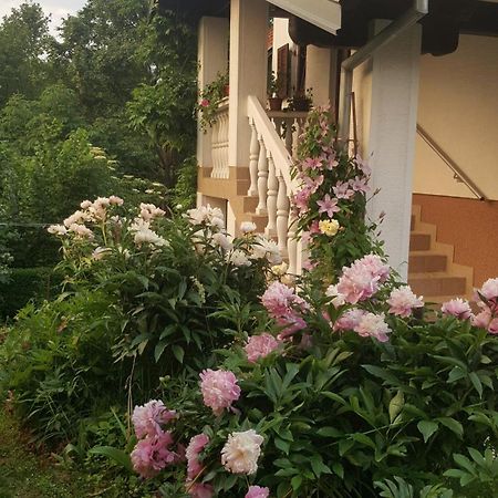 House Tudic Apartment Dreznik Grad Bagian luar foto