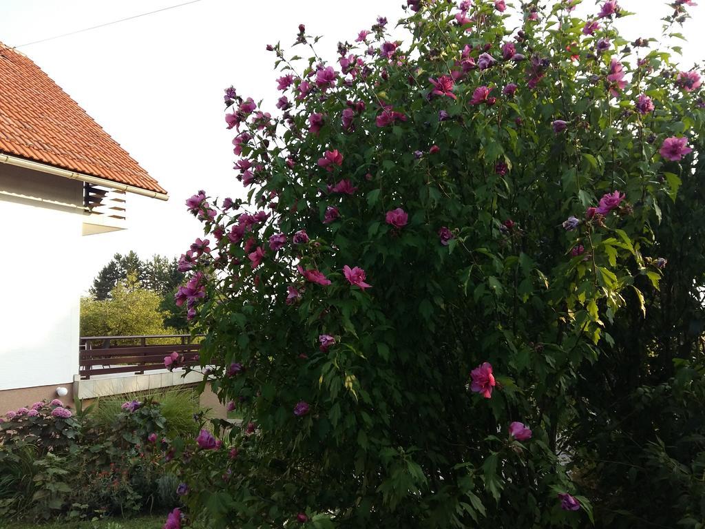 House Tudic Apartment Dreznik Grad Ruang foto