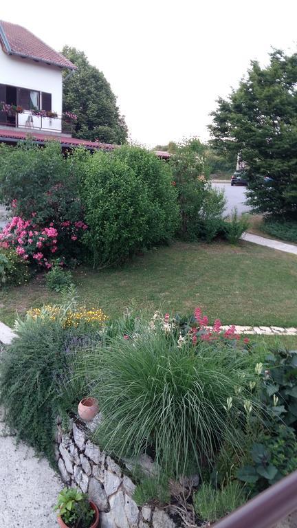 House Tudic Apartment Dreznik Grad Ruang foto