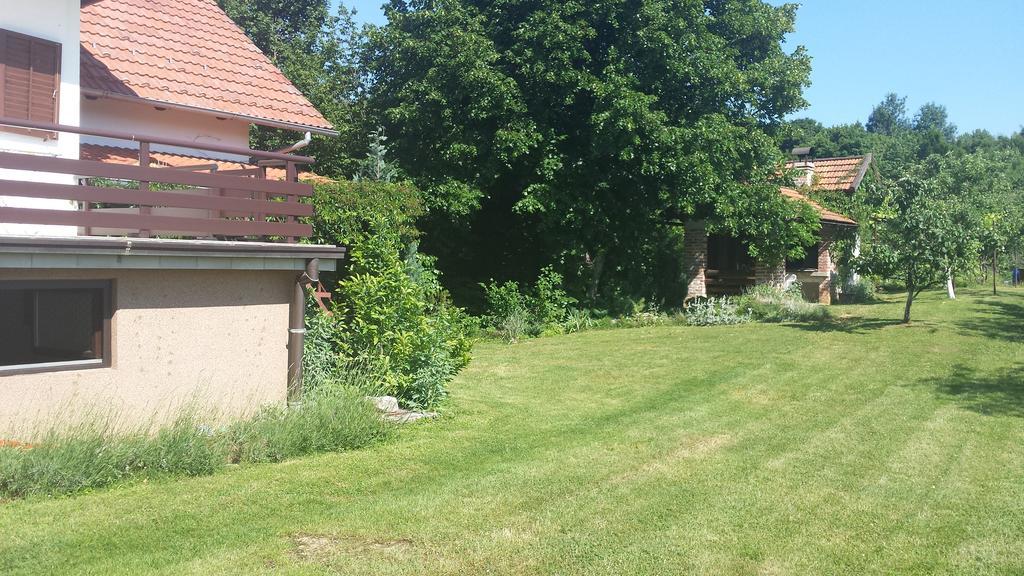 House Tudic Apartment Dreznik Grad Ruang foto