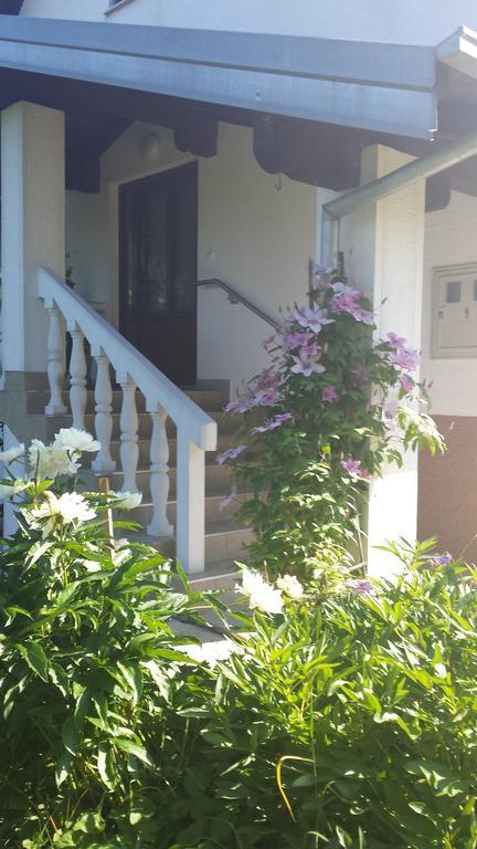 House Tudic Apartment Dreznik Grad Ruang foto