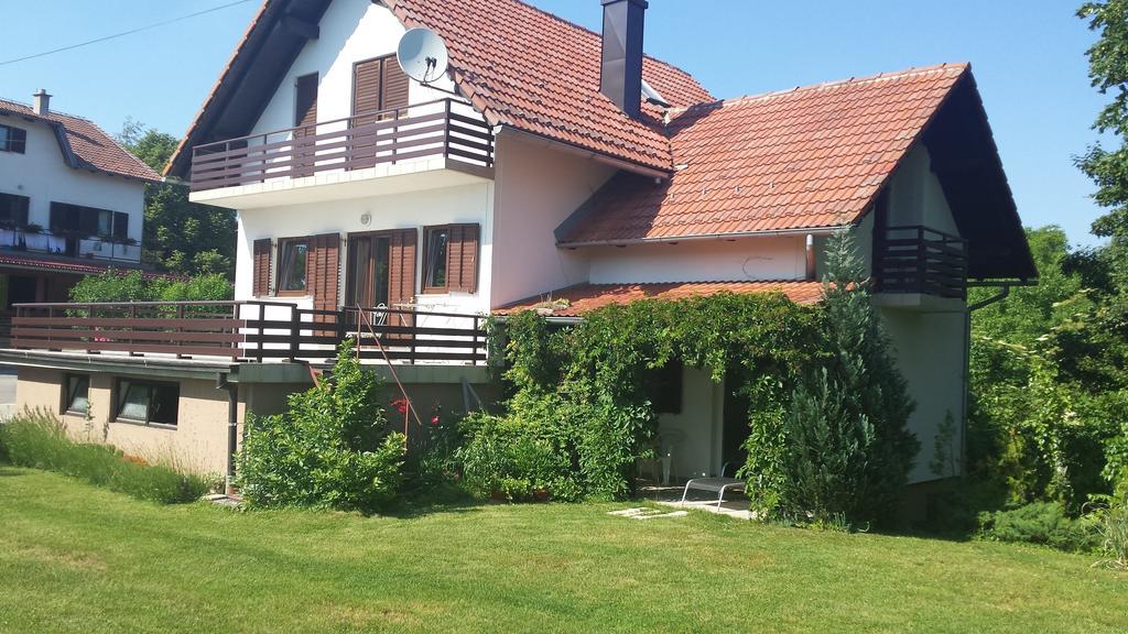 House Tudic Apartment Dreznik Grad Ruang foto