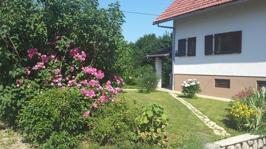 House Tudic Apartment Dreznik Grad Ruang foto
