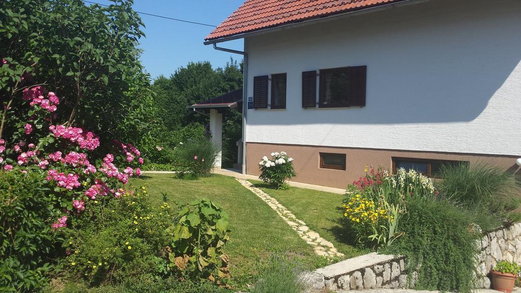House Tudic Apartment Dreznik Grad Ruang foto