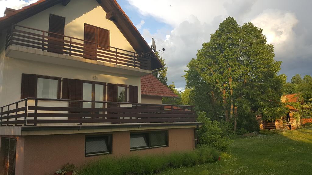 House Tudic Apartment Dreznik Grad Bagian luar foto