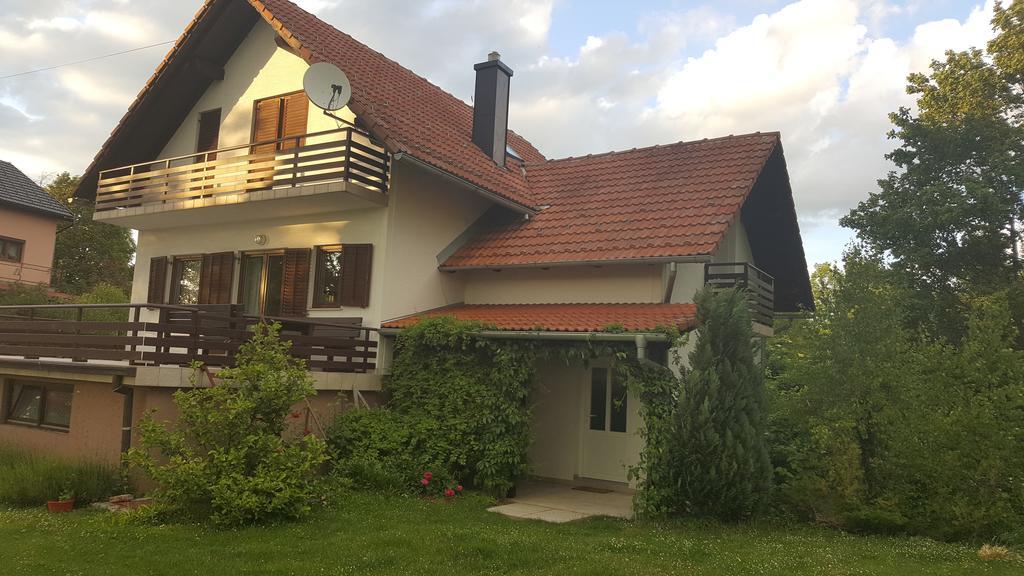 House Tudic Apartment Dreznik Grad Bagian luar foto