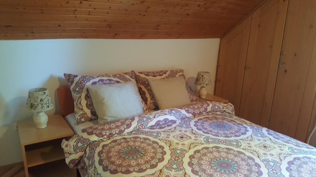 House Tudic Apartment Dreznik Grad Bagian luar foto