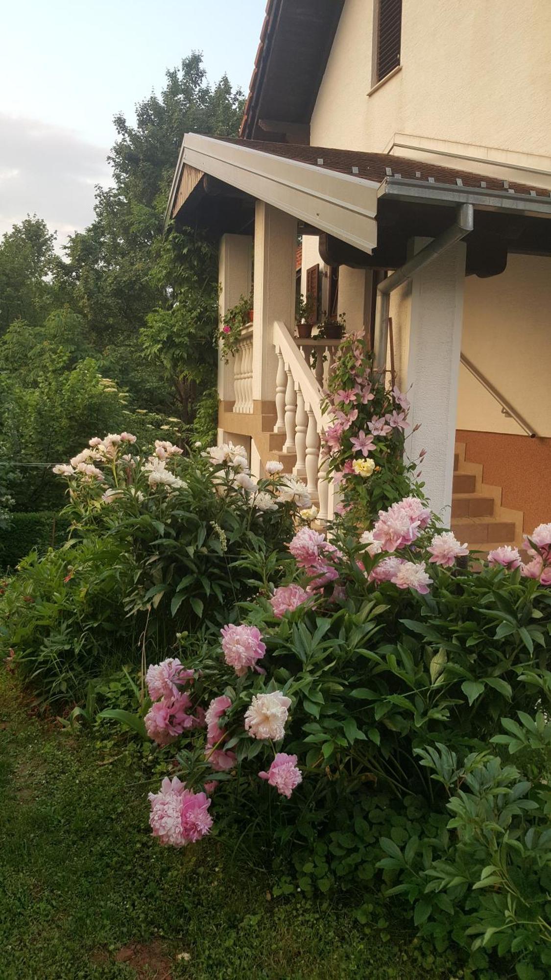 House Tudic Apartment Dreznik Grad Bagian luar foto