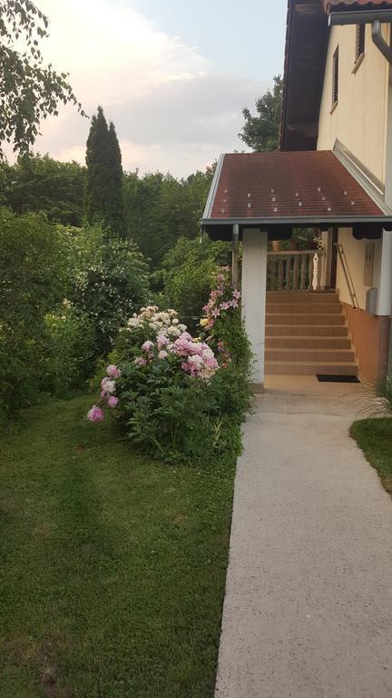 House Tudic Apartment Dreznik Grad Bagian luar foto