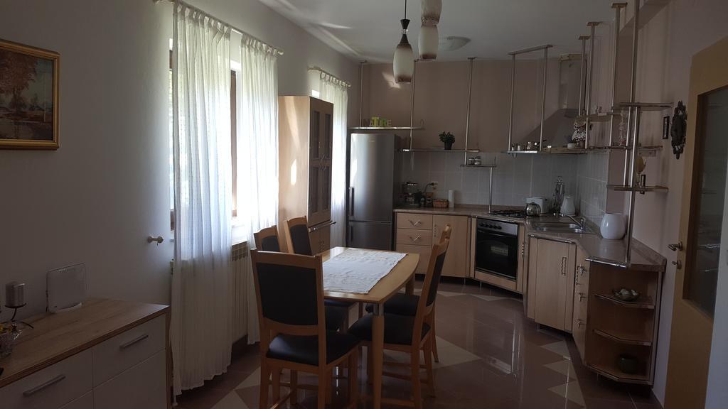 House Tudic Apartment Dreznik Grad Bagian luar foto