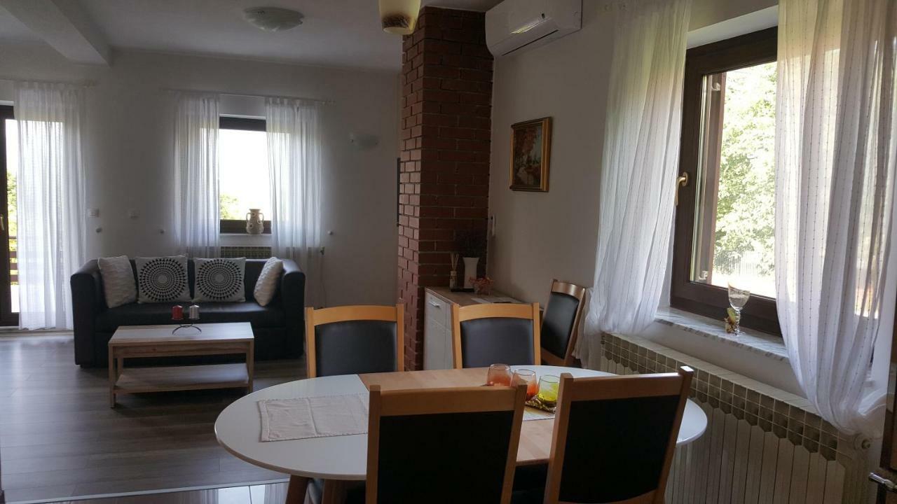House Tudic Apartment Dreznik Grad Bagian luar foto
